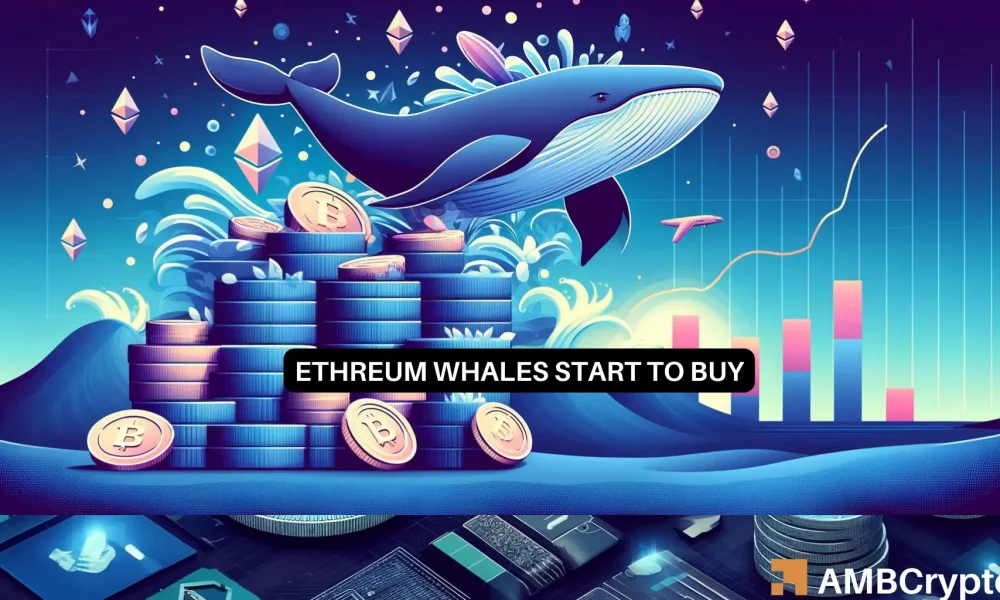 La ballena Ethereum recauda 15 mil ETH: ¿esto finalmente ayudará a los precios?