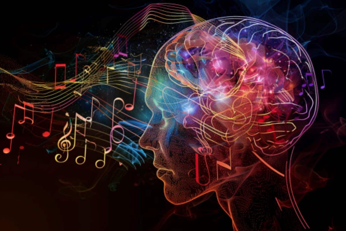 ¿Cómo distingue el cerebro la música del habla?