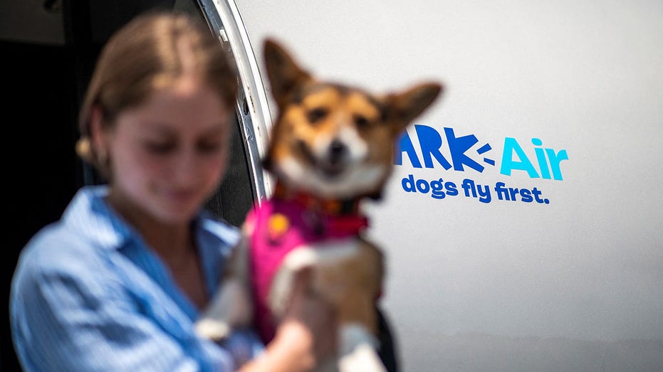 Mujer cargando perro desde avión