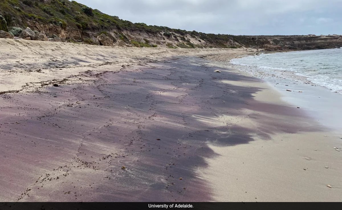 Antiguas montañas antárticas descubiertas por arena rosada en Australia