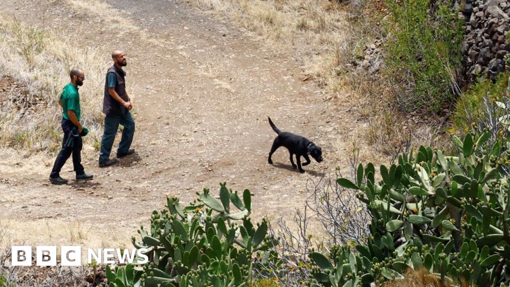 Perros especialmente entrenados llegan para ayudar a Jay Slater a buscar a la policía.