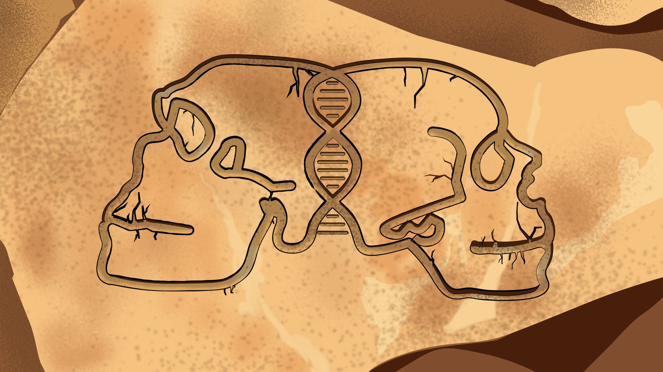 Nuevos descubrimientos revelan vínculos antiguos entre neandertales y neandertales