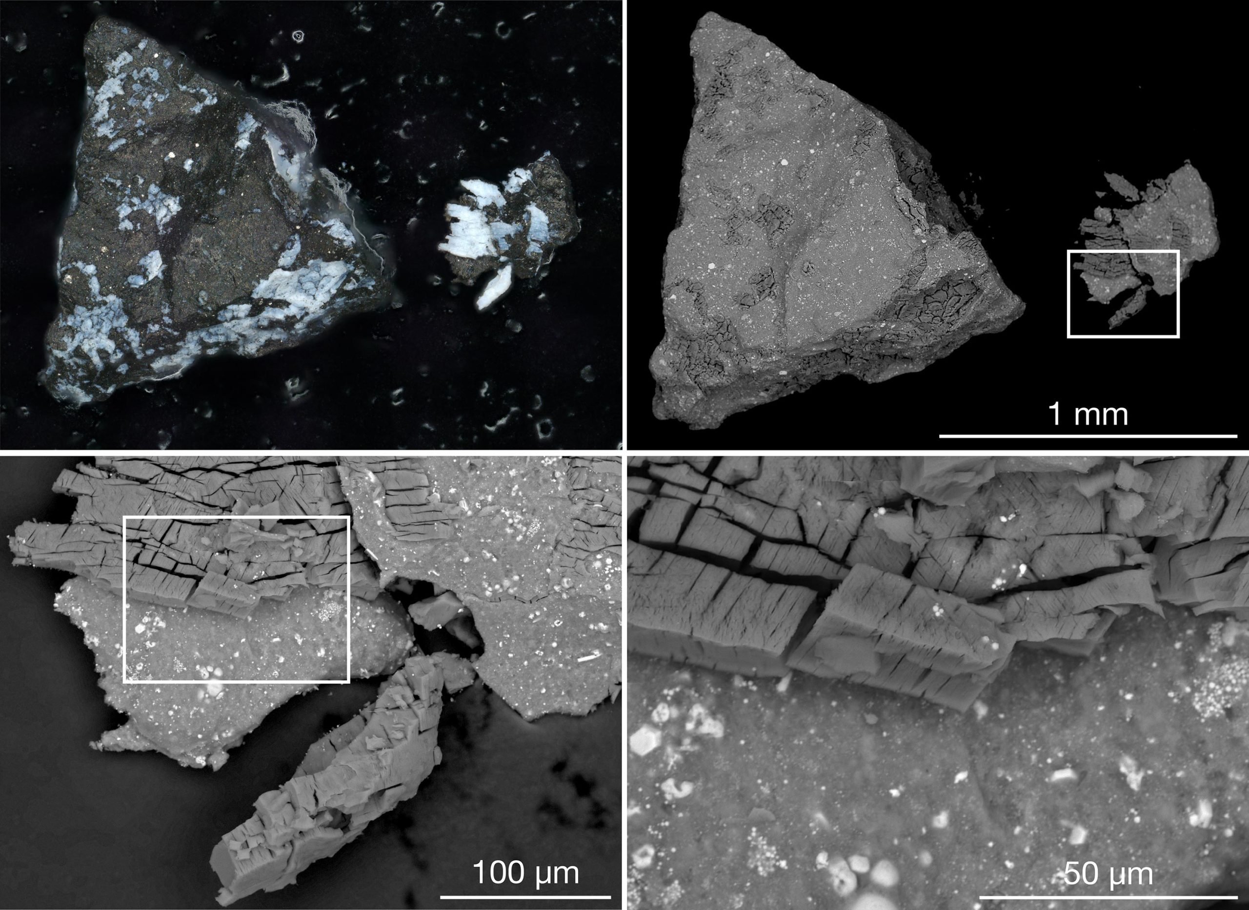 El planeta Bennu contiene los «componentes originales» del sistema solar.