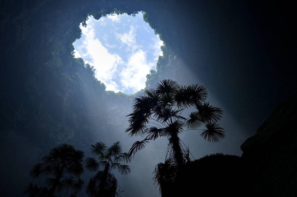 Enormes cráteres en China contienen bosques «celestiales» con plantas adaptadas a la dura vida subterránea