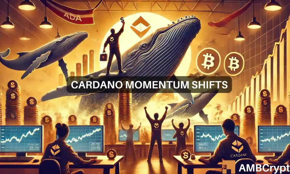 Pronóstico del precio de Cardano: cómo las ballenas podrían cambiar el pronóstico de julio de la ADA