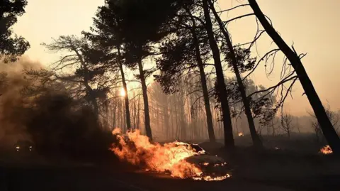 Se muestra un automóvil ardiendo durante un incendio forestal en el pueblo de Varnavas, cerca de Atenas, Grecia, el 11 de agosto de 2024. 